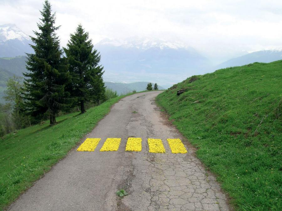 Collège Ecole Moser – Land Art à Leysin