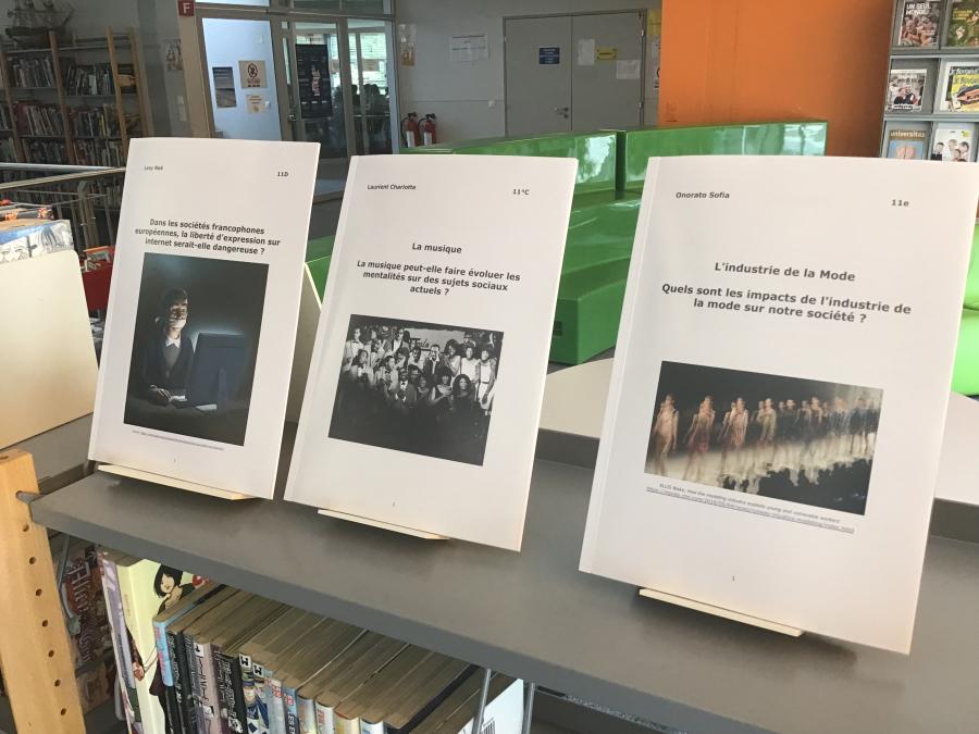Projet personnel Ecole MOSER