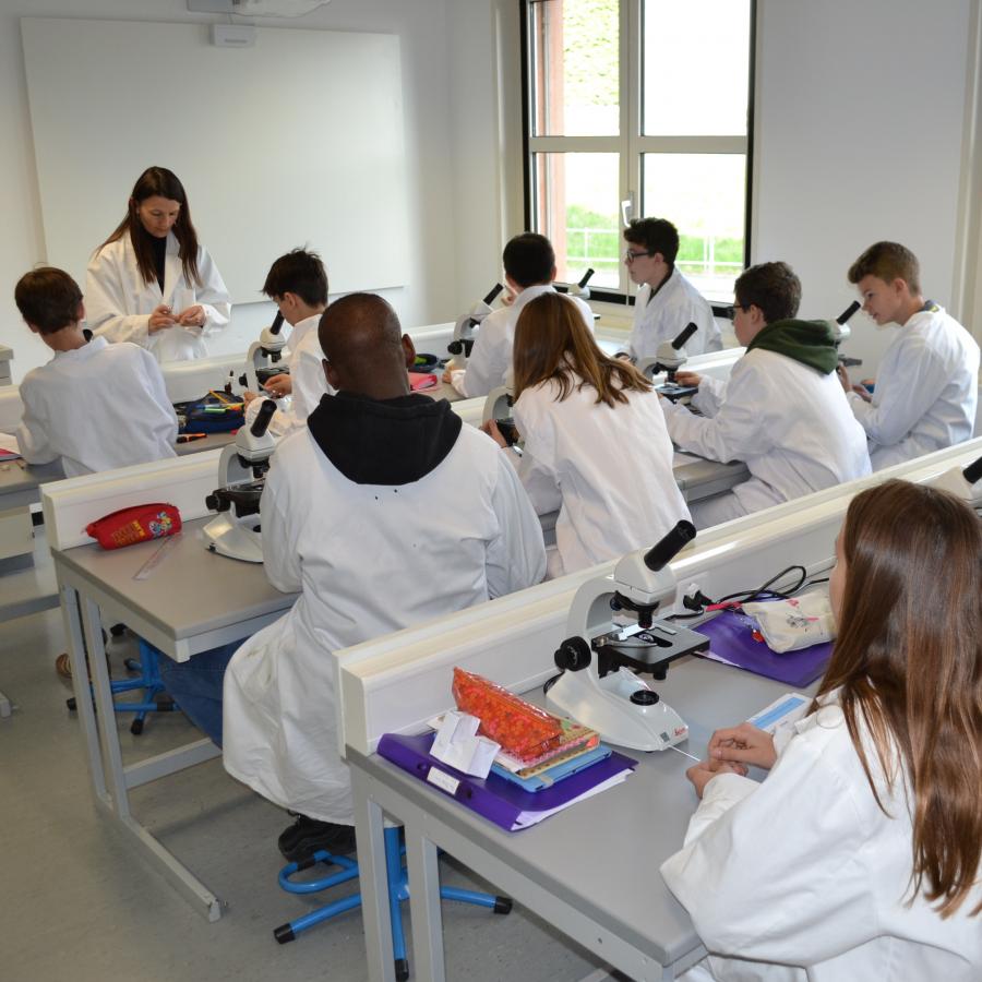 Laboratoire Sec 1 Ecole MOSER Nyon