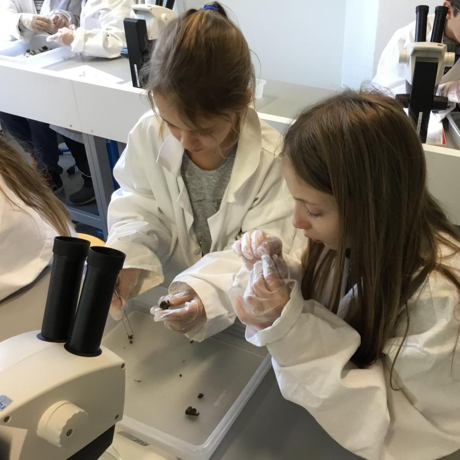 Laboratoire  Ecole MOSER Nyon