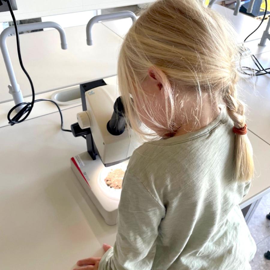 Laboratoire  Ecole MOSER Nyon