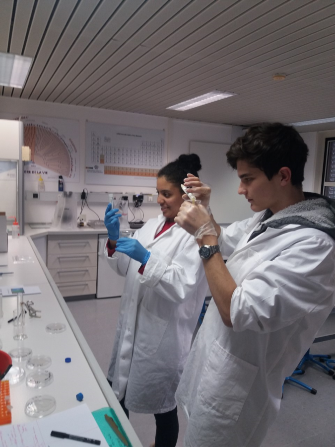 Laboratoire Biologie Ecole Moser Nyon